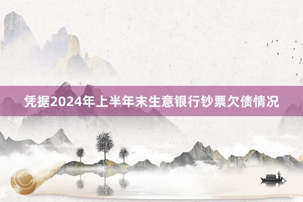 凭据2024年上半年末生意银行钞票欠债情况