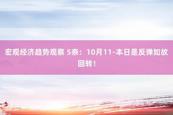 宏观经济趋势观察 5奈：10月11-本日是反弹如故回转！