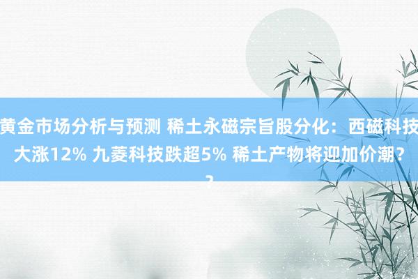 黄金市场分析与预测 稀土永磁宗旨股分化：西磁科技大涨12% 九菱科技跌超5% 稀土产物将迎加价潮？