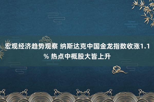 宏观经济趋势观察 纳斯达克中国金龙指数收涨1.1% 热点中概股大皆上升