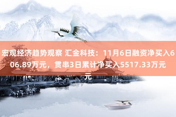 宏观经济趋势观察 汇金科技：11月6日融资净买入606.89万元，贯串3日累计净买入5517.33万元