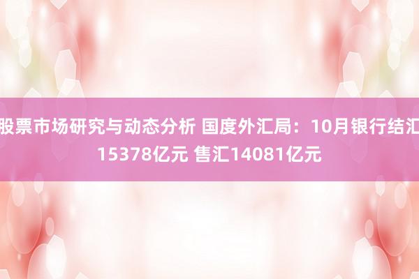 股票市场研究与动态分析 国度外汇局：10月银行结汇15378亿元 售汇14081亿元