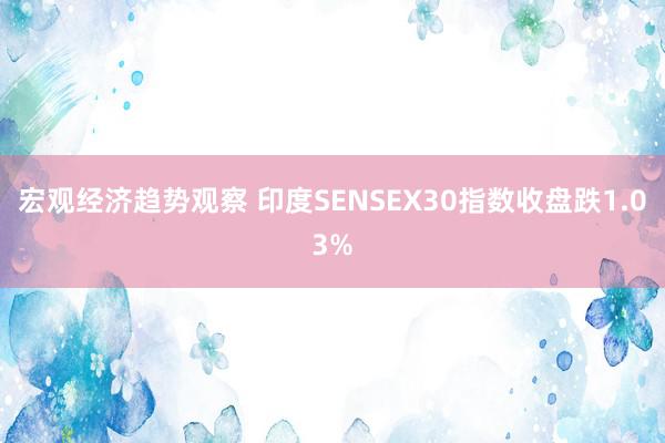 宏观经济趋势观察 印度SENSEX30指数收盘跌1.03%