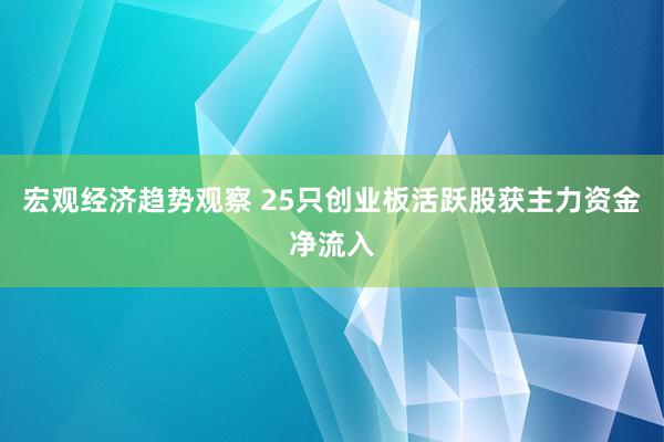 宏观经济趋势观察 25只创业板活跃股获主力资金净流入