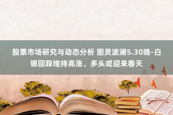 股票市场研究与动态分析 图灵波澜5.30晚-白银回踩维持高涨、多头或迎来春天