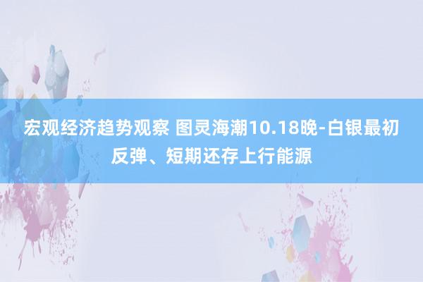 宏观经济趋势观察 图灵海潮10.18晚-白银最初反弹、短期还存上行能源