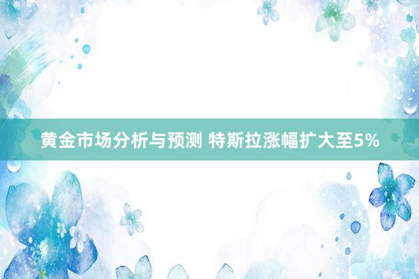 黄金市场分析与预测 特斯拉涨幅扩大至5%