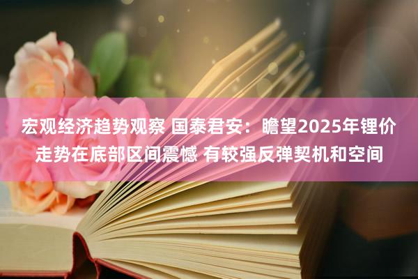 宏观经济趋势观察 国泰君安：瞻望2025年锂价走势在底部区间震憾 有较强反弹契机和空间