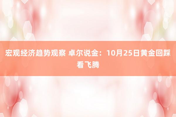 宏观经济趋势观察 卓尔说金：10月25日黄金回踩看飞腾