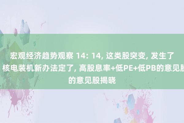 宏观经济趋势观察 14: 14, 这类股突变, 发生了什么? 核电装机新办法定了, 高股息率+低PE+低PB的意见股揭晓