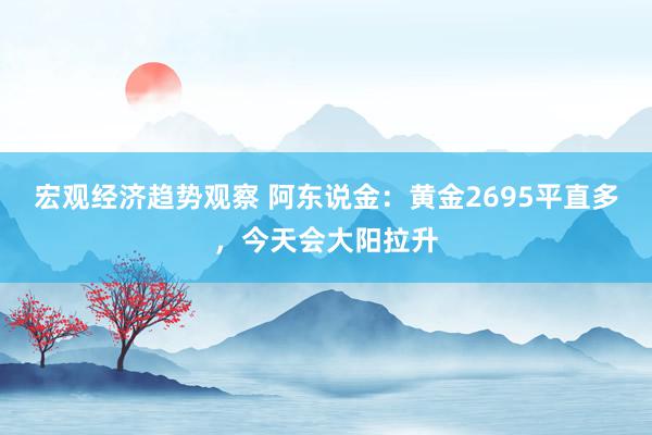 宏观经济趋势观察 阿东说金：黄金2695平直多，今天会大阳拉升