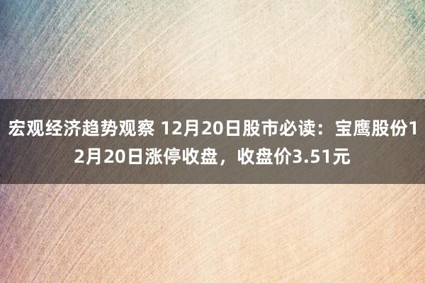 宏观经济趋势观察 12月20日股市必读：宝鹰股份12月20日涨停收盘，收盘价3.51元