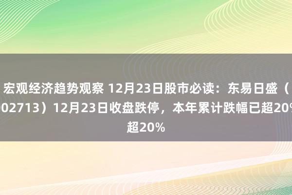 宏观经济趋势观察 12月23日股市必读：东易日盛（002713）12月23日收盘跌停，本年累计跌幅已超20%