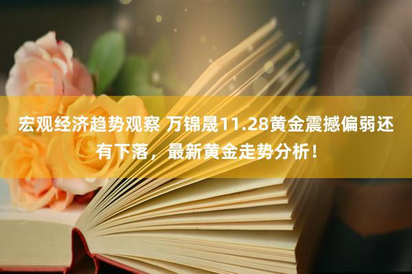 宏观经济趋势观察 万锦晟11.28黄金震撼偏弱还有下落，最新黄金走势分析！