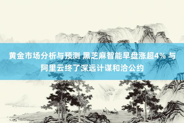 黄金市场分析与预测 黑芝麻智能早盘涨超4% 与阿里云终了深远计谋和洽公约