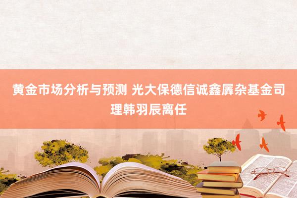 黄金市场分析与预测 光大保德信诚鑫羼杂基金司理韩羽辰离任