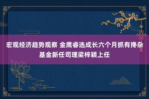 宏观经济趋势观察 金鹰睿选成长六个月抓有搀杂基金新任司理梁梓颖上任