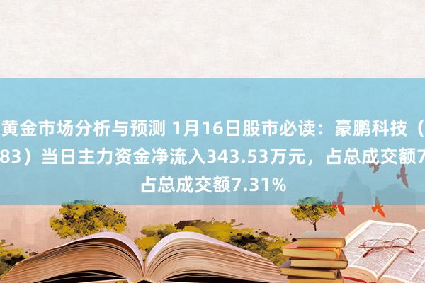 黄金市场分析与预测 1月16日股市必读：豪鹏科技（001283）当日主力资金净流入343.53万元，占总成交额7.31%