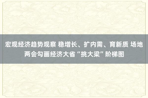 宏观经济趋势观察 稳增长、扩内需、育新质 场地两会勾画经济大省“挑大梁”阶梯图