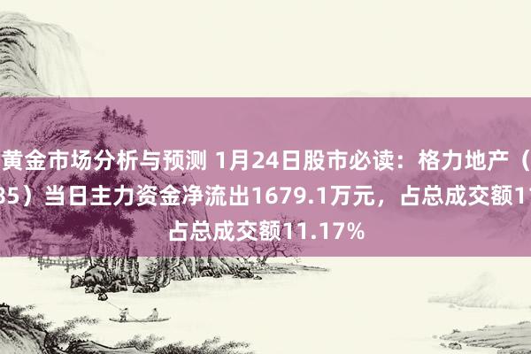 黄金市场分析与预测 1月24日股市必读：格力地产（600185）当日主力资金净流出1679.1万元，占总成交额11.17%