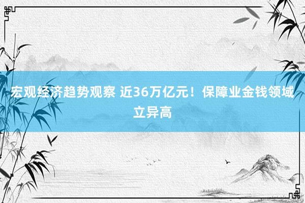 宏观经济趋势观察 近36万亿元！保障业金钱领域立异高