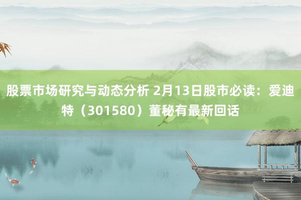 股票市场研究与动态分析 2月13日股市必读：爱迪特（301580）董秘有最新回话