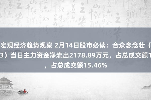 宏观经济趋势观察 2月14日股市必读：合众念念壮（002383）当日主力资金净流出2178.89万元，占总成交额15.46%