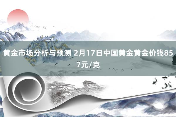 黄金市场分析与预测 2月17日中国黄金黄金价钱857元/克