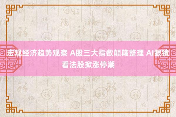 宏观经济趋势观察 A股三大指数颠簸整理 AI眼镜看法股掀涨停潮