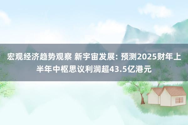 宏观经济趋势观察 新宇宙发展: 预测2025财年上半年中枢思议利润超43.5亿港元