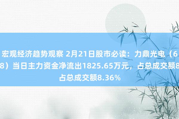 宏观经济趋势观察 2月21日股市必读：力鼎光电（605118）当日主力资金净流出1825.65万元，占总成交额8.36%