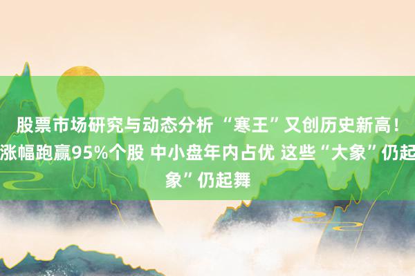 股票市场研究与动态分析 “寒王”又创历史新高！月涨幅跑赢95%个股 中小盘年内占优 这些“大象”仍起舞