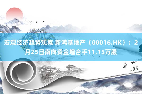 宏观经济趋势观察 新鸿基地产（00016.HK）：2月25日南向资金增合手11.15万股