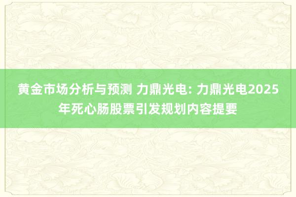 黄金市场分析与预测 力鼎光电: 力鼎光电2025年死心肠股票引发规划内容提要