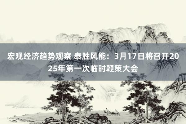 宏观经济趋势观察 泰胜风能：3月17日将召开2025年第一次临时鞭策大会