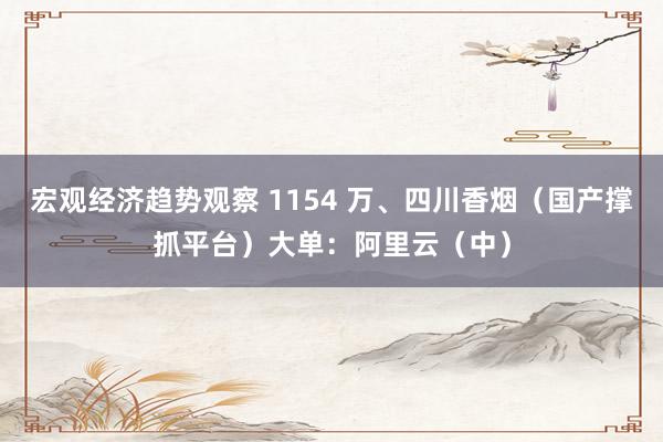 宏观经济趋势观察 1154 万、四川香烟（国产撑抓平台）大单：阿里云（中）