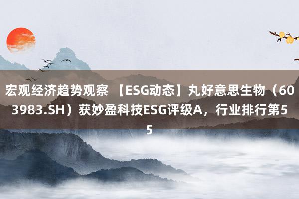 宏观经济趋势观察 【ESG动态】丸好意思生物（603983.SH）获妙盈科技ESG评级A，行业排行第5