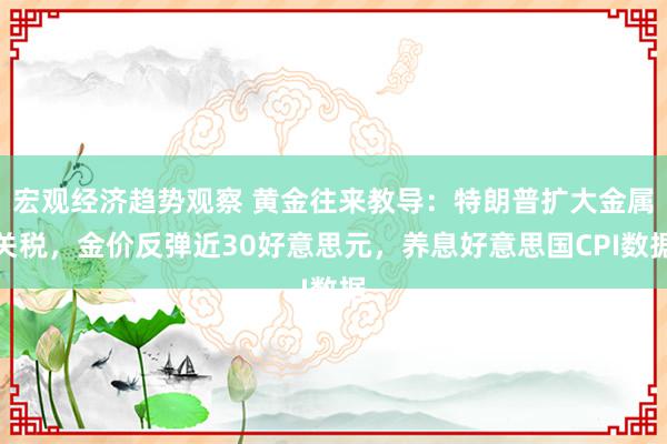 宏观经济趋势观察 黄金往来教导：特朗普扩大金属关税，金价反弹近30好意思元，养息好意思国CPI数据