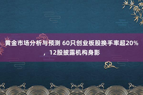 黄金市场分析与预测 60只创业板股换手率超20%，12股披露机构身影