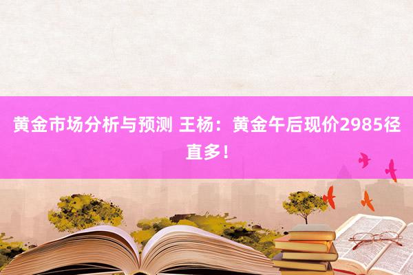 黄金市场分析与预测 王杨：黄金午后现价2985径直多！