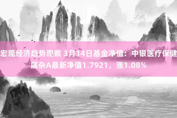 宏观经济趋势观察 3月14日基金净值：中银医疗保健羼杂A最新净值1.7921，涨1.08%