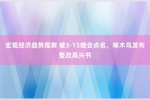 宏观经济趋势观察 被3·15晚会点名，啄木鸟发布整改高兴书