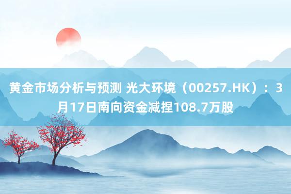 黄金市场分析与预测 光大环境（00257.HK）：3月17日南向资金减捏108.7万股