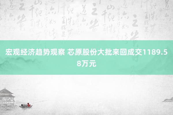 宏观经济趋势观察 芯原股份大批来回成交1189.58万元